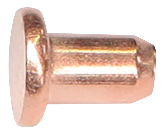 100 RIVETS Ø3 x 4.5