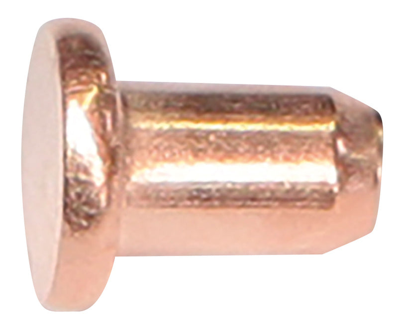 100 RIVETS Ø3 x 4.5